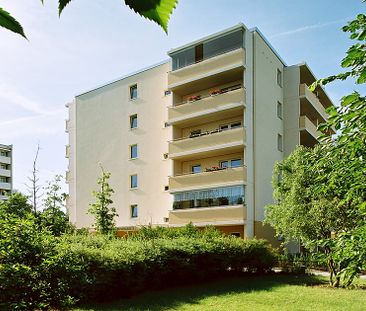 Nachmieter zum 01.01.2026 gesucht - Foto 1