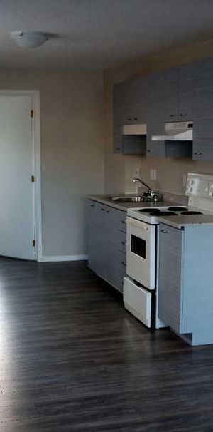 Bright, Renovated Gatineau Studio–Parking Included Ava. Immediately - Photo 1