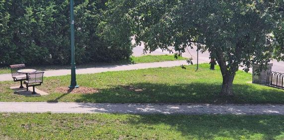 Logement à louer - Photo 2