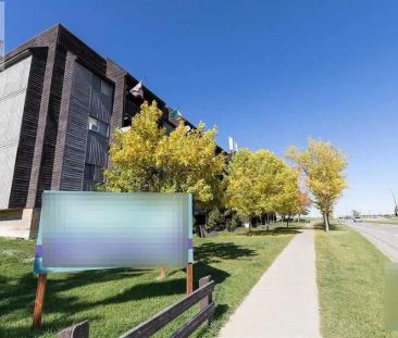 216 Doverglen Crescent SE — 1 Bedroom - Photo 1