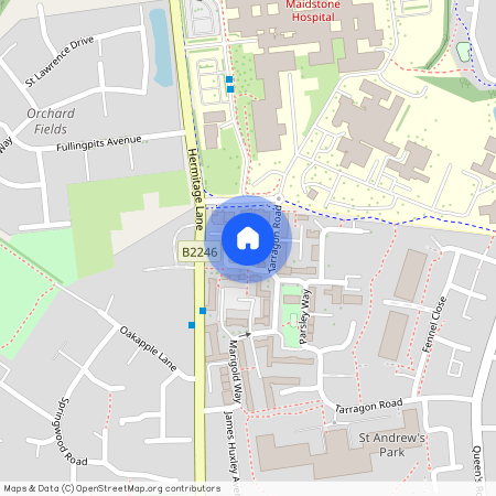 Coriander Drive, Maidstone, ME16