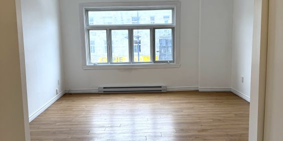 Très Grand 3 ½ - Mile-End - Photo 3