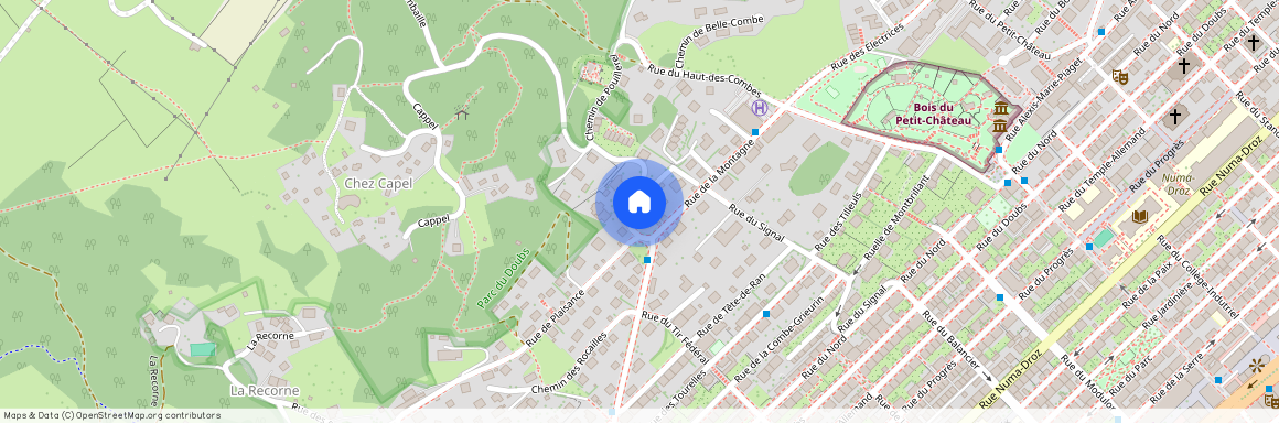 2300, La Chaux-de-Fonds, Montagne, 16