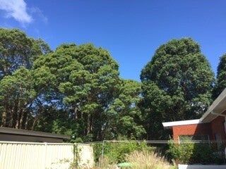 Dulwich Hill - Photo 2