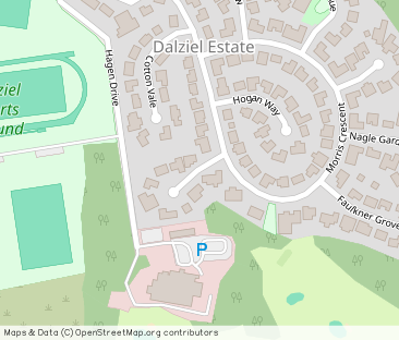 Sarazen Court, Motherwell, ML1 - Photo 1