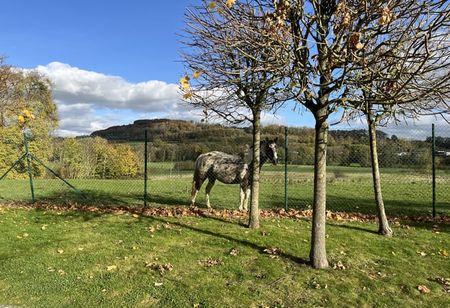 Appartement te huur - Photo 3