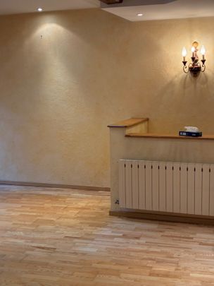 Location Appartement 3 pièces 76m² CHARLIEU 42190 - Photo 1