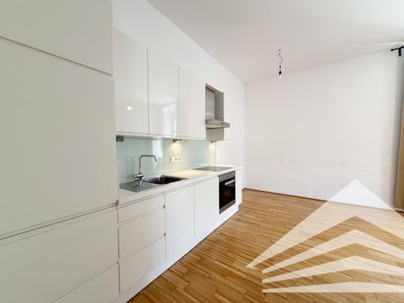 Stilvolle 2 Zimmer-Altbauwohnung mit DAN-Küche an der Donaulände - Foto 4