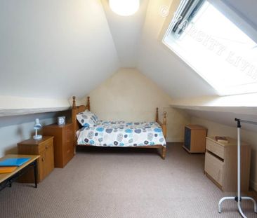 39 Hill Street - Photo 5