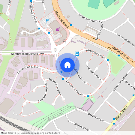 6b Casuarina Circuit, NSW 2304, Warabrook