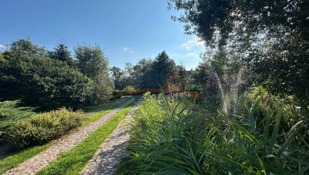 Warzymice - Фото 5