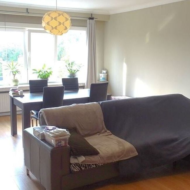 Appartement te huur in Wilrijk voor € 795 met 2 slaapkamers - Photo 1