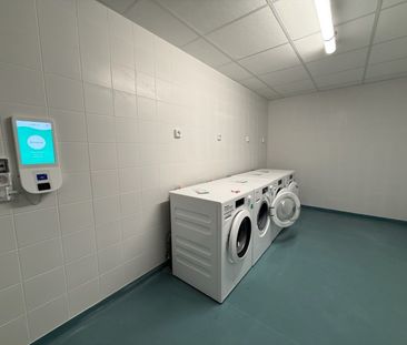 Location Appartement 1 pièce 25m² FRANQUEVILLE ST PIERRE 76520 - Photo 3