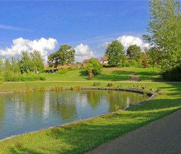 1 bedroom terraced house to rent - Photo 6