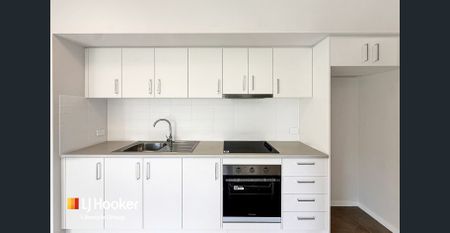 Brand New Two Bedroom Granny Flat with a big backyard! - Photo 3