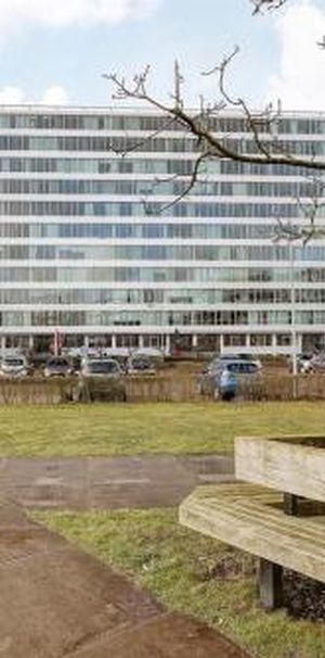 Bos en Lommerplantsoen 1055 Amsterdam - Photo 1