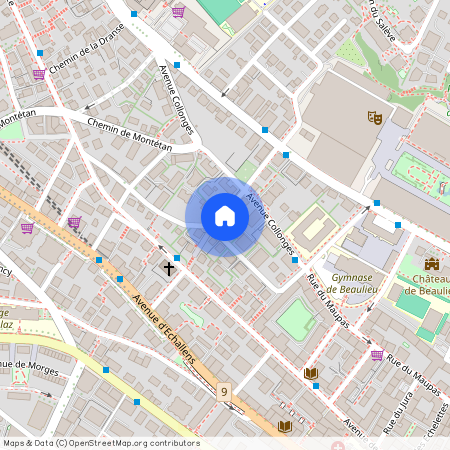 Chemin des Aubépines 8, 1004 Lausanne