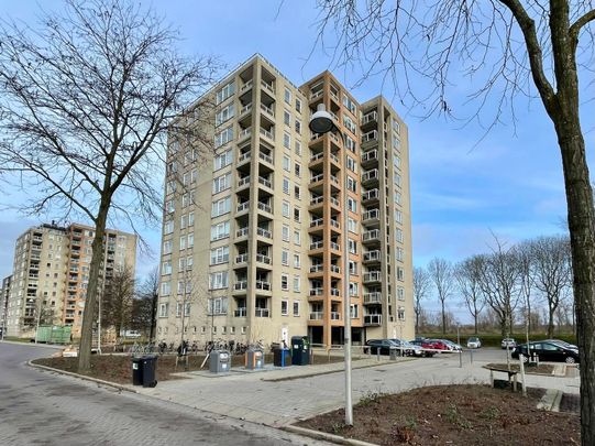 Appartement te huur: Hermelijnvlinder 41 1113 LC Diemen - Foto 1