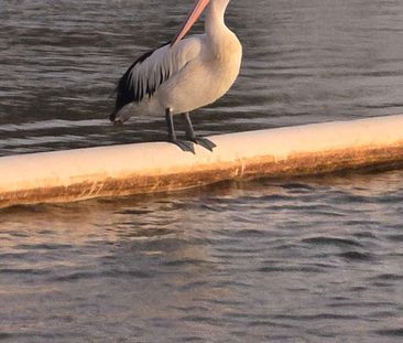 Palm Beach - Photo 5