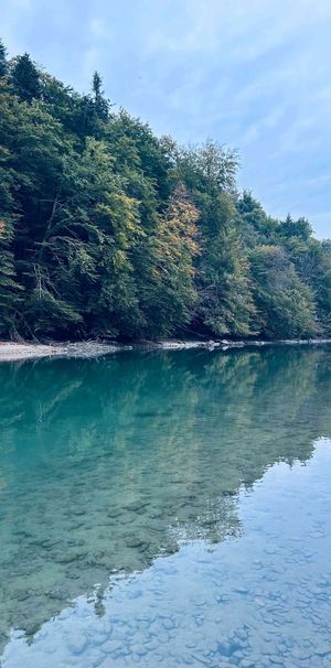 3.5 Zimmer, 75 m² - Photo 1