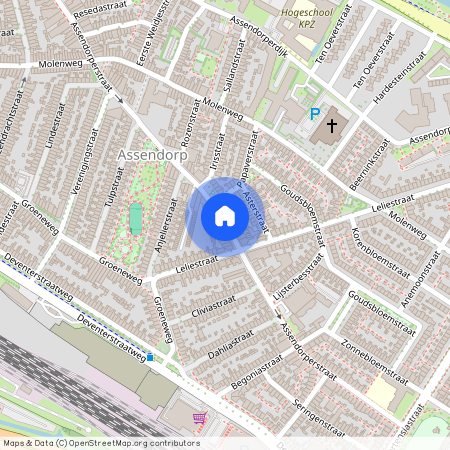 Nieuw-Assendorp, 8012 DL, Assendorperstraat, Zwolle