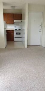 Bachelor Apartment for Rent Near Downtown Victoria - Photo 3