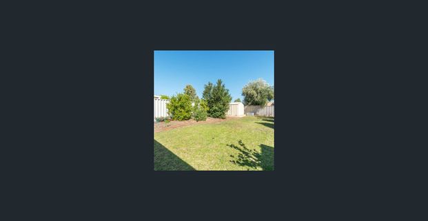 Little beauty. - Photo 1