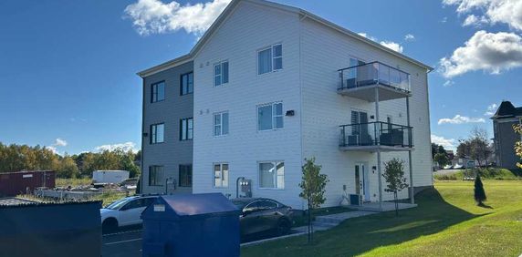 Magnifique Condo locatif neuf 3 1/2 secteur Charny pour mai 2026 - Photo 2