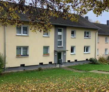 Ab sofort: Frisch renovierte 3,5-Raum-Wohnung mit eigener Terrasse - Photo 4