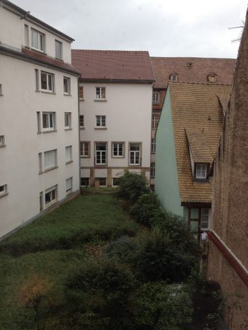 Location Appartement 1 pièce 26m² STRASBOURG 67000 - Photo 3