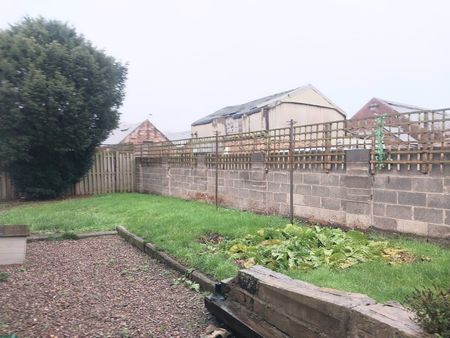 3 bedroom bungalow to rent - Photo 5