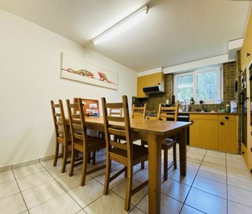 CHEAP WITH BEAUTIFUL MOUNTAIN VIEW - Photo 2