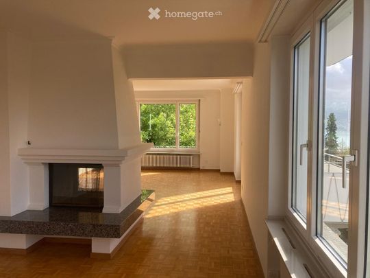 Sonnige Wohnung mit Seesicht - Foto 1