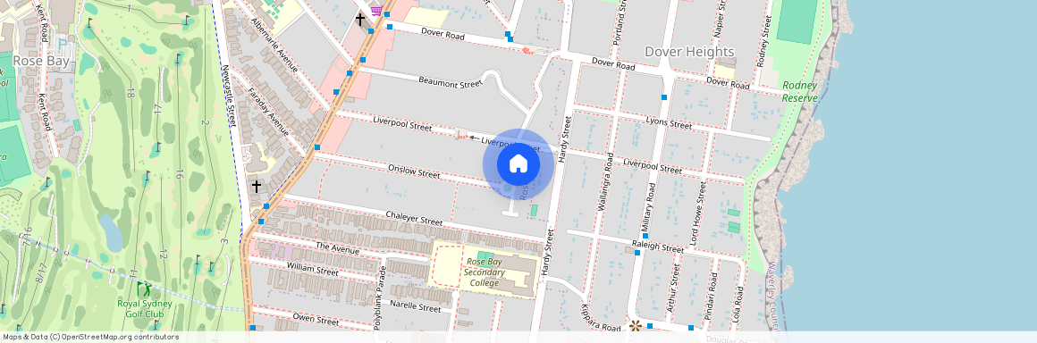 96 Onslow Street, Sydney, New South Wales 2029