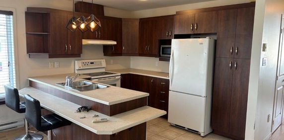 Logement 4 1/2 à louer à St-Gregoire, Bécancour - Photo 2
