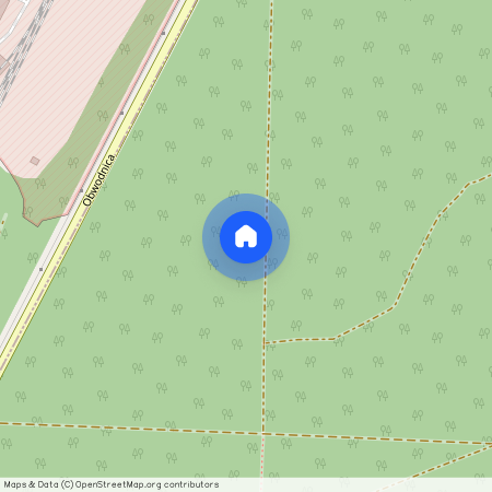 Tarnogórski, Tarnowskie Góry, Lasowice