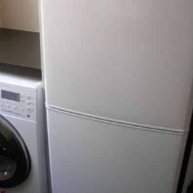 Spacious One-Bedroom Living Close to the Octagon - Photo 1