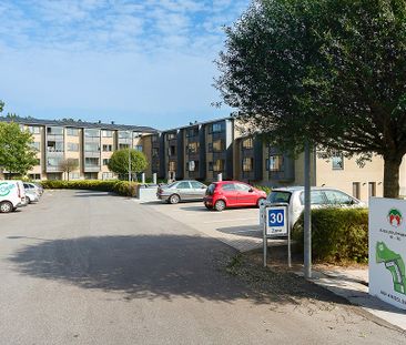 Afd. 6 Bjellerupparken - Foto 6