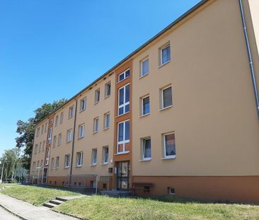Sie suchen, bei uns finden Sie! - Foto 1