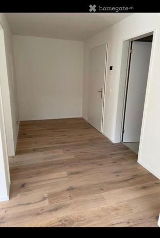 Apartment in Zürich - Photo 5
