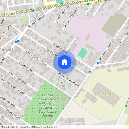 Bucuresti