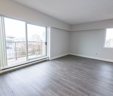 Tara Place Apartments - 1 Bedroom - Photo 6