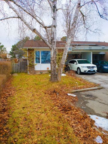 For Lease - 2015 Fontwell Crescent Unit# Bsmt, Mississauga, Ontario - Photo 2