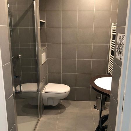 Location Appartement 1 pièce 15m² - Photo 3