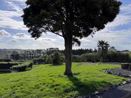 Charming 4BR lifestyle Home w/ Courtyard & Deck - Photo 2