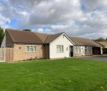 3 bedroom detached bungalow to rent - Photo 4