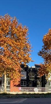 Location Appartement 1 pièce 23m² CASTANET TOLOSAN 31320 - Photo 1