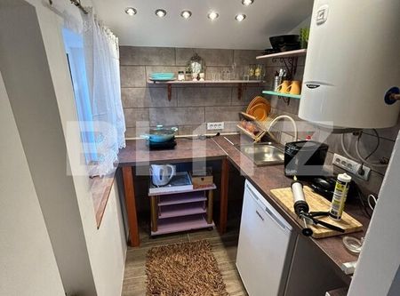 Apartament 1 camera cu nisa de dormit, 47mp, zona Piata Hermes - Photo 4