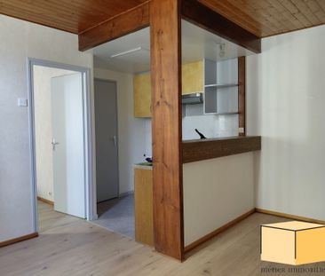 Location Appartement 1 pièce 28m² ST GENIX LES VILLAGES 73240 - Photo 1