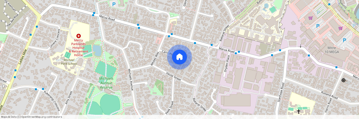 12 Carrs Place, Ellerslie, Auckland City